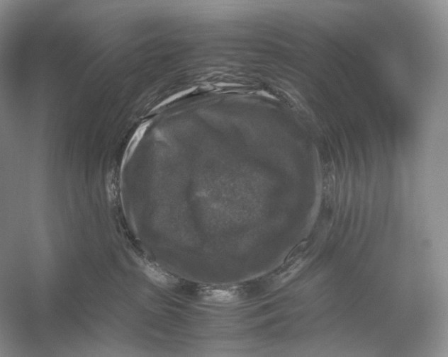 X0000053130285200508081326