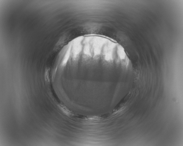 X0000053130286200508081326