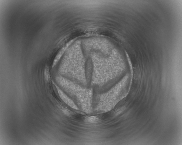 X0000053130287200508081326
