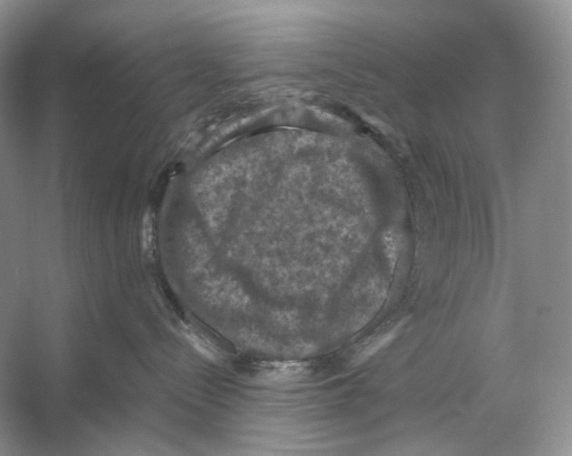 X0000053130288200508081326