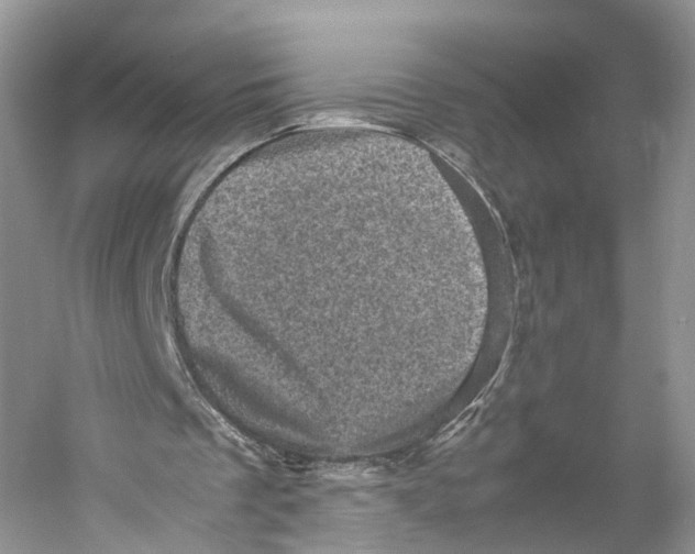 X0000053130289200508081325