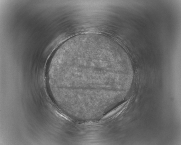 X0000053130290200508081325