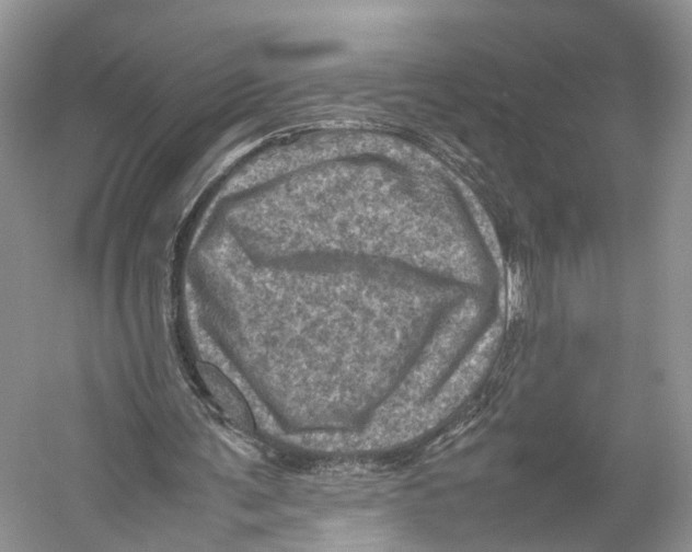 X0000053130291200508081325