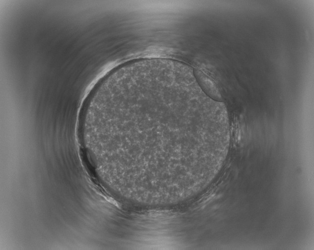 X0000053130292200508081325