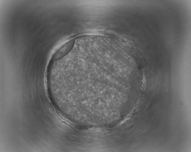 X0000053130294200508081325