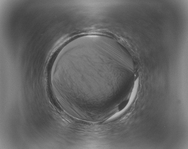 X0000053130295200508081325