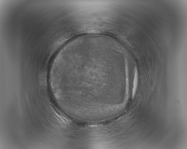 X0000053130299200508081325