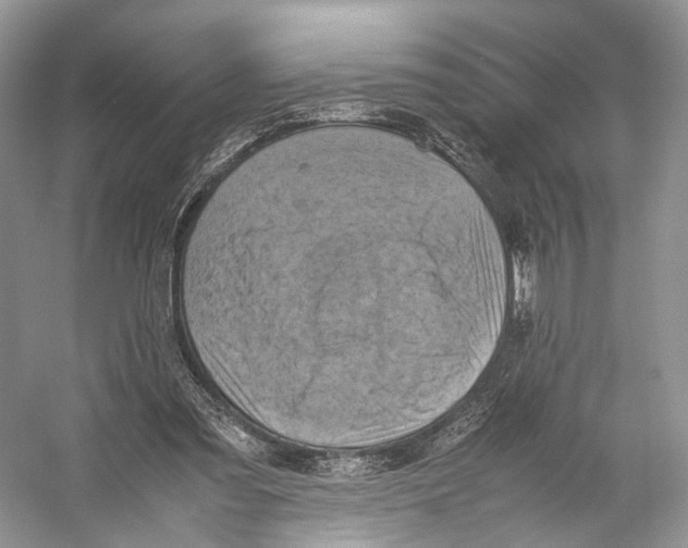 X0000053130301200508081325