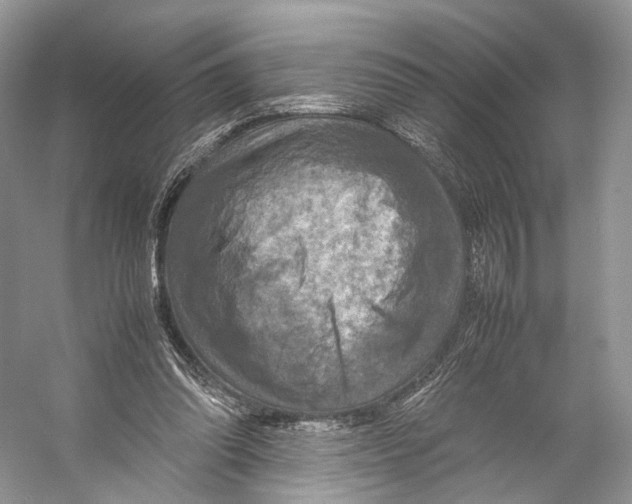 X0000053130302200508081325