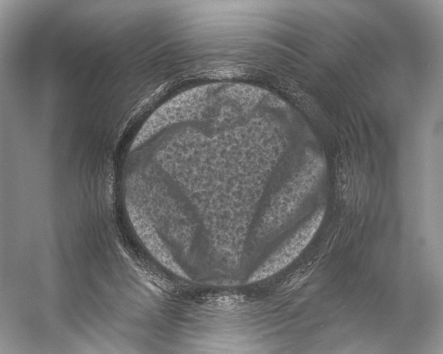 X0000053130304200508081325