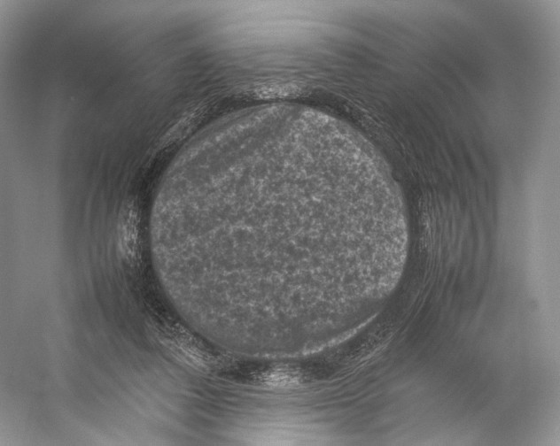 X0000053130308200508081325