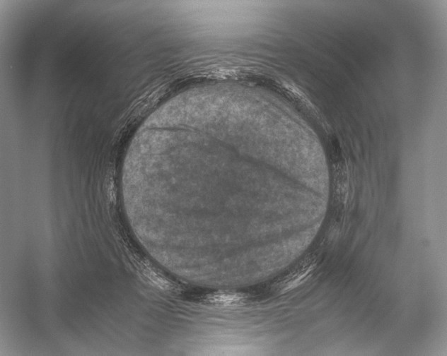 X0000053130313200508081325