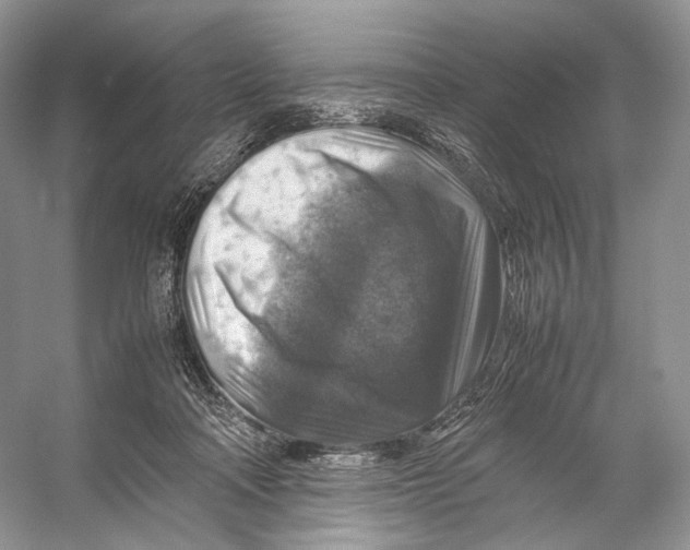 X0000053130314200508081325