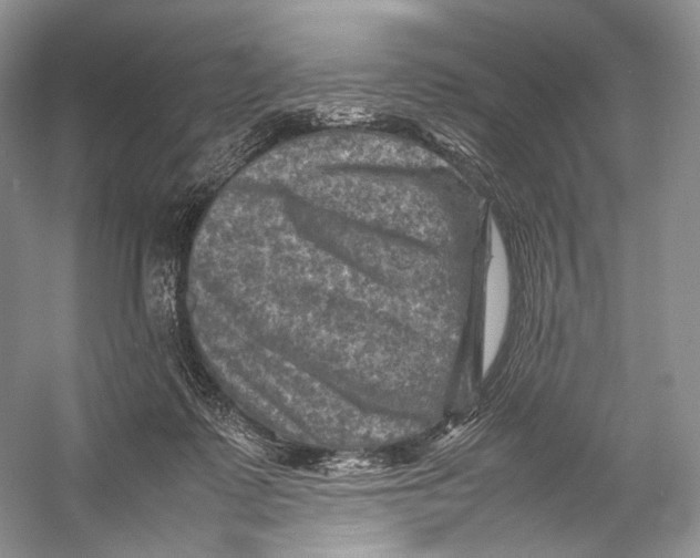 X0000053130315200508081325
