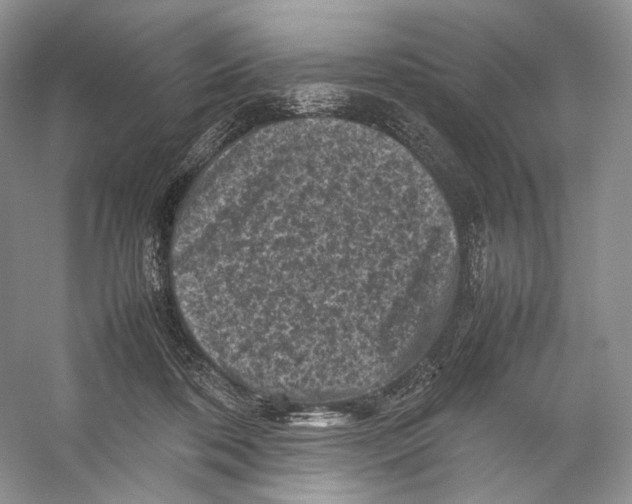 X0000053130316200508081325