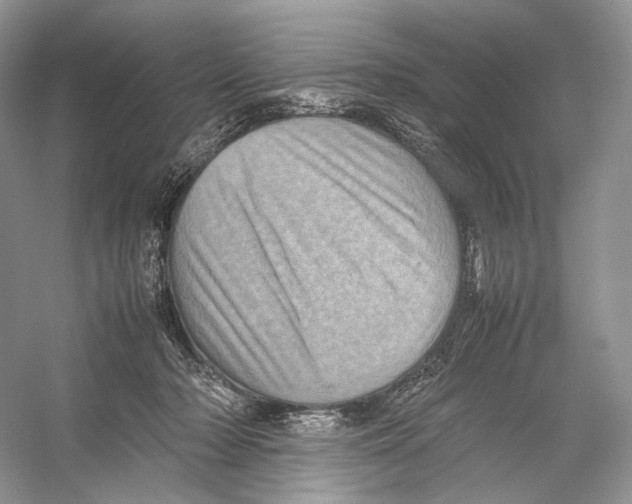 X0000053130318200508081325