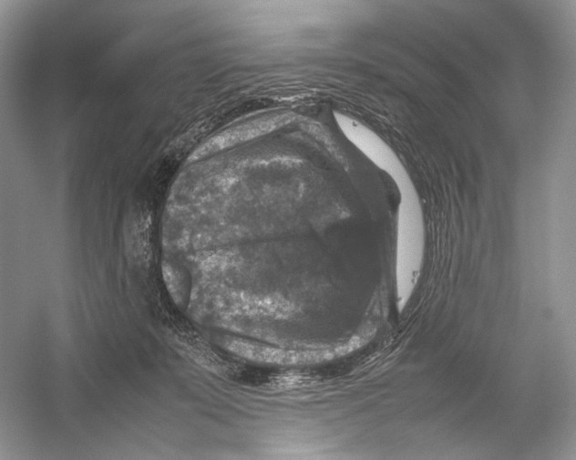 X0000053130319200508081325