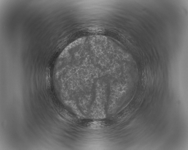 X0000053130320200508081325