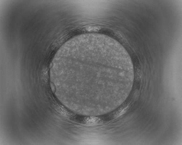 X0000053130321200508081325