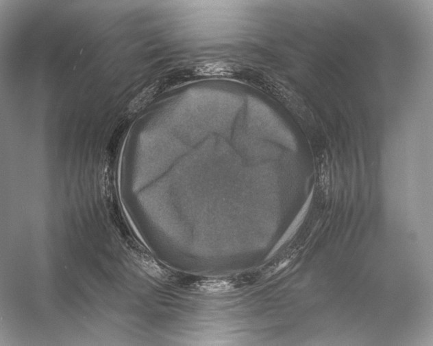 X0000053130322200508081325