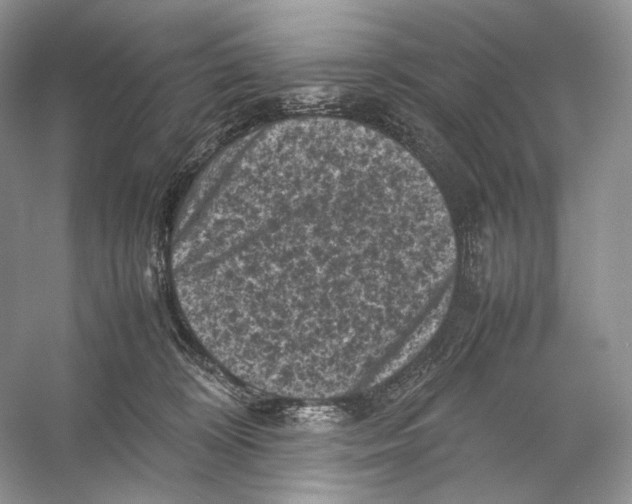 X0000053130324200508081325