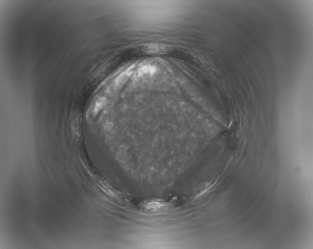 X0000053130325200508081325