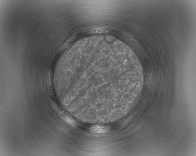 X0000053130326200508081325