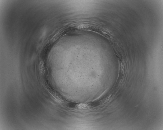 X0000053130327200508081325