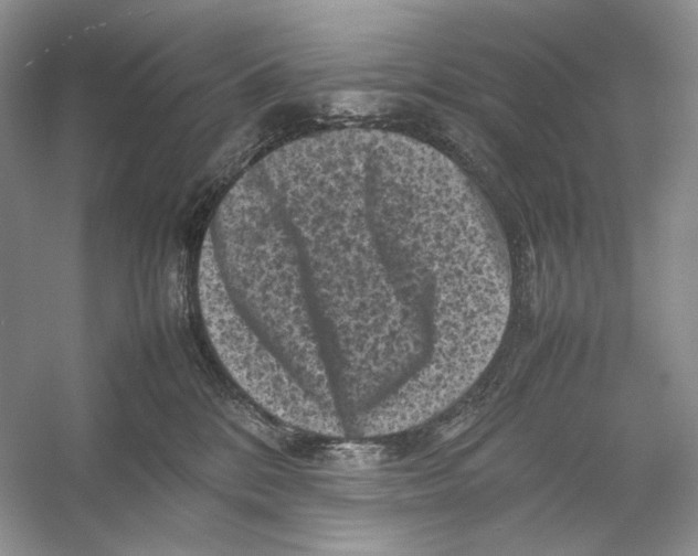 X0000053130328200508081325