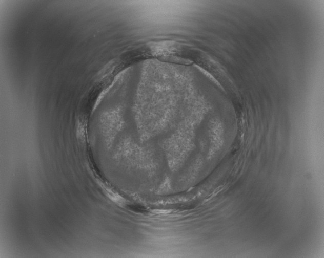 X0000053130329200508081325
