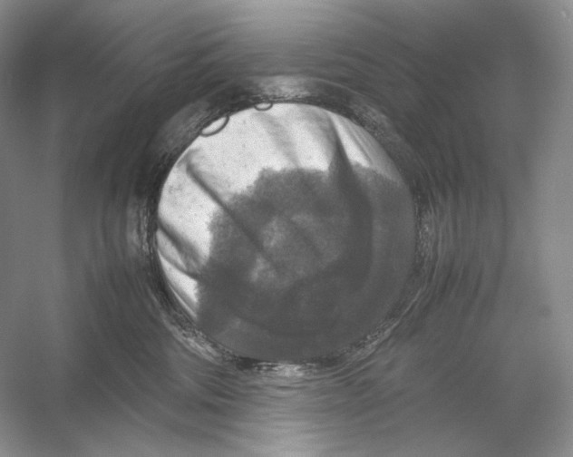 X0000053130330200508081324