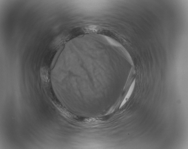 X0000053130331200508081324