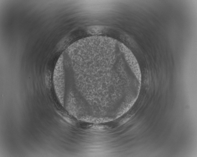 X0000053130332200508081324