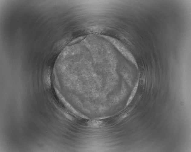 X0000053130334200508081324