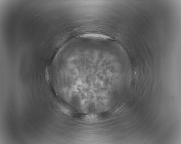 X0000053130335200508081324