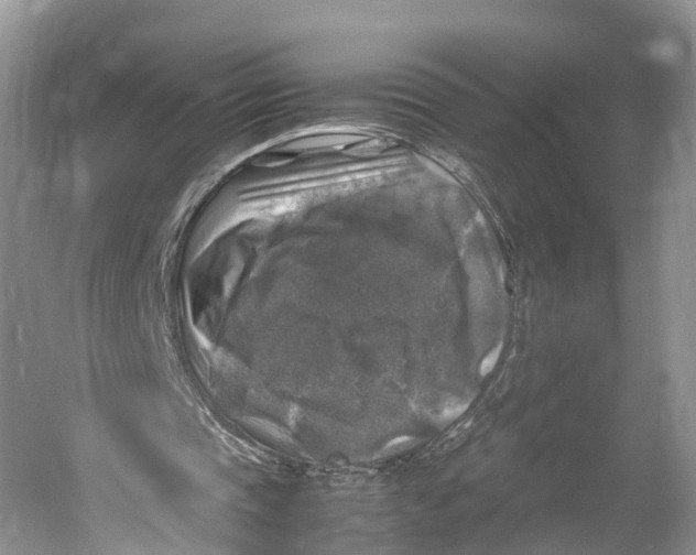 X0000053130337200508081324