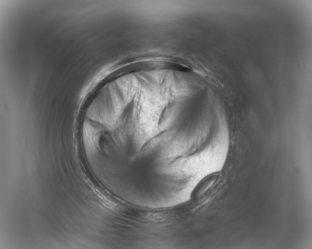 X0000053130341200508081324
