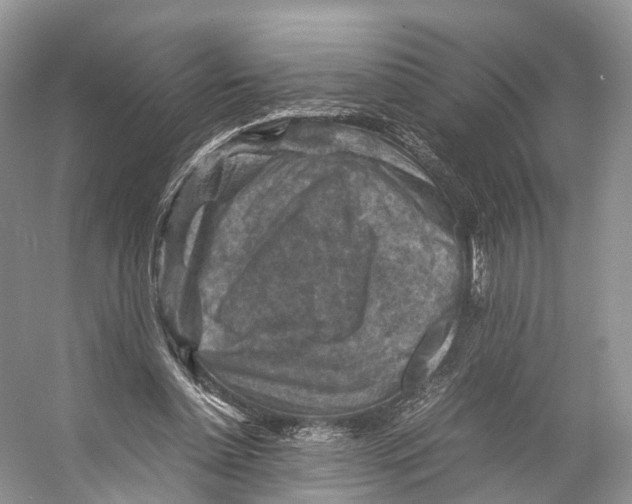 X0000053130348200508081324