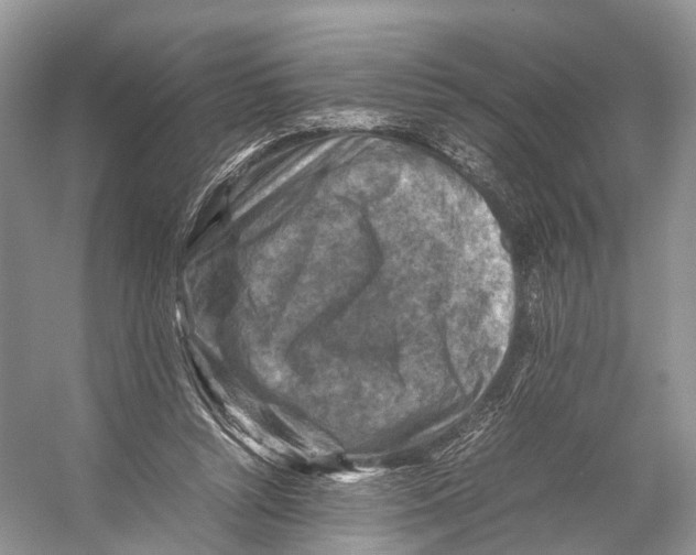 X0000053130352200508081324