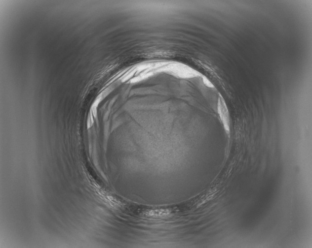 X0000053130353200508081324