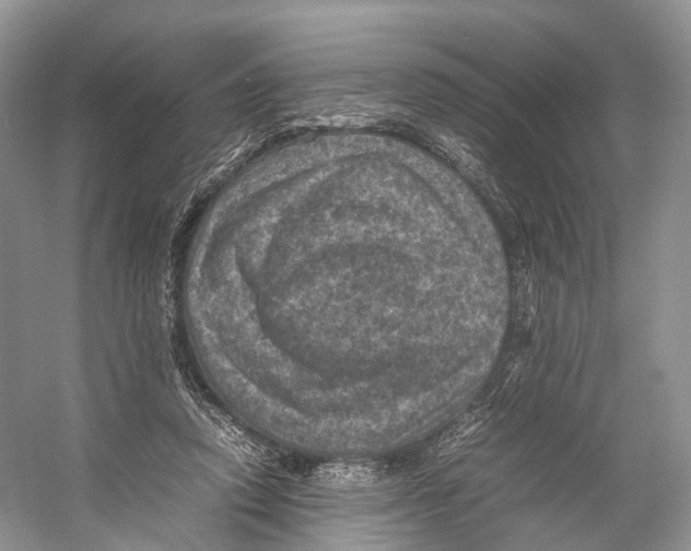 X0000053130354200508081324