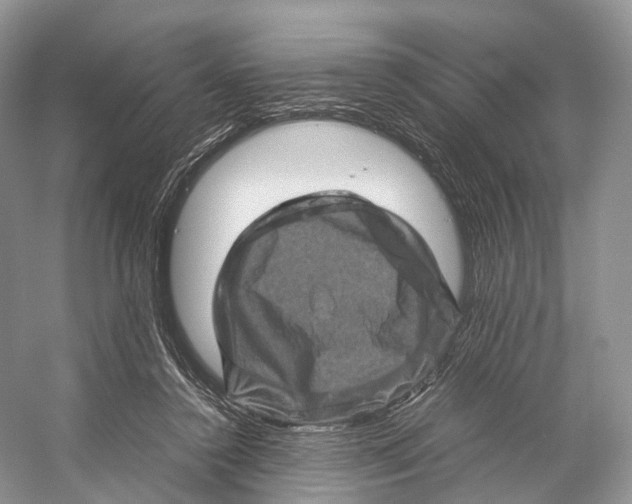 X0000053130356200508081324