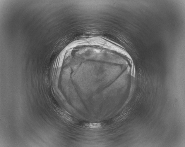 X0000053130361200508081324