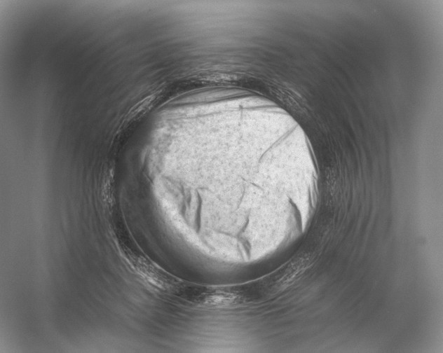 X0000053130364200508081324