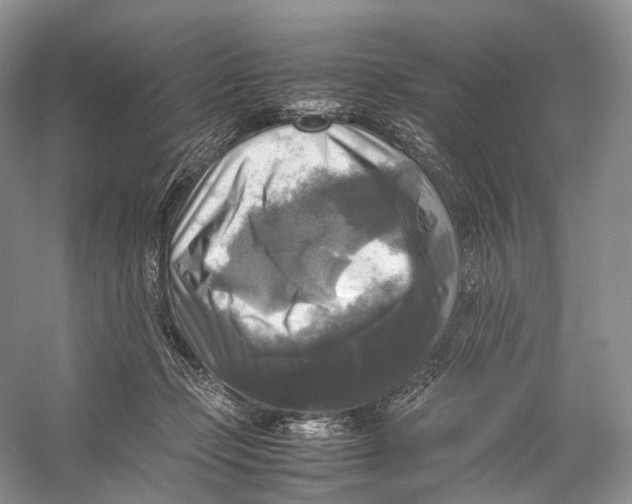 X0000053130365200508081324