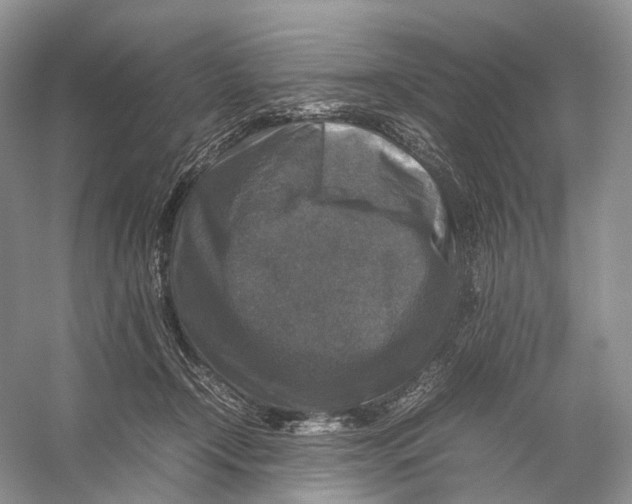 X0000053130366200508081324