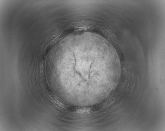 X0000053130369200508081324