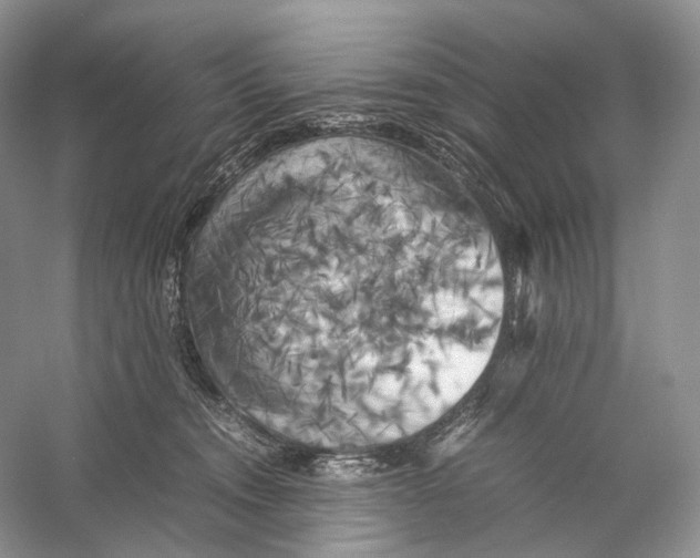 X0000053130372200508081324