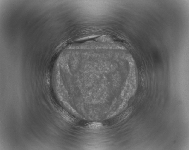 X0000053130374200508081324