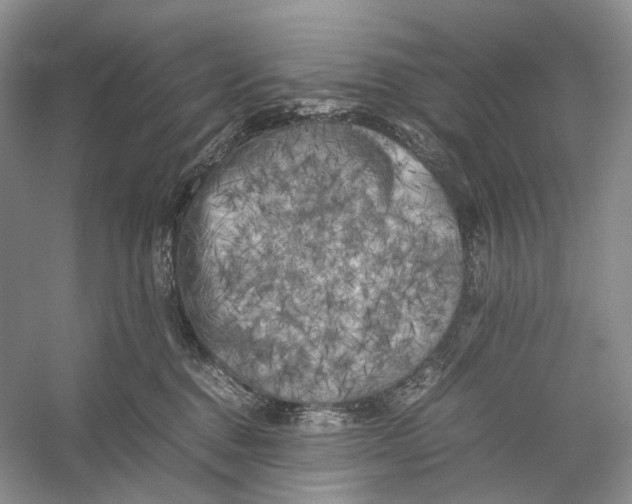 X0000053130376200508081324